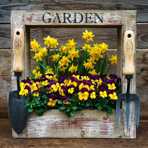 Wooden display with yellow and purple flowers, trowel, and Compact Garden Fork For Tight Spaces, Super Handy Lightweight Hand Tool For Small Gardens