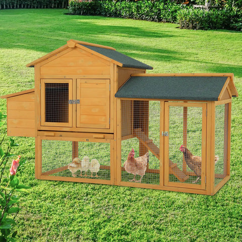 66 Inch Wooden Chicken Coop Indoor Outdoor For 2 To 4 Hens Weatherproof Hen House with Egg Box and Wire Fence in garden