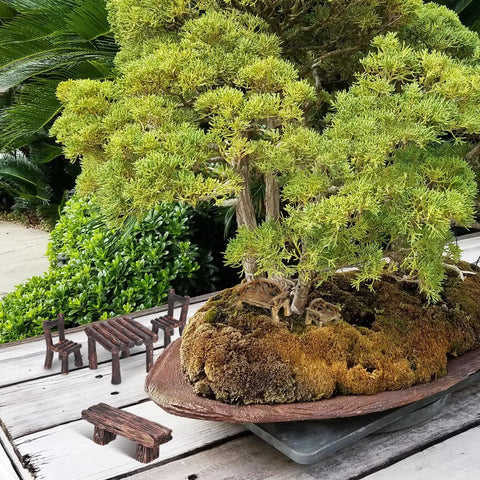 Miniature Fairy Garden Furniture Set Of 10 Resin Tables And Chairs For Terrariums And Dollhouses Rustic Wood Grain Look With Realistic Painted Details