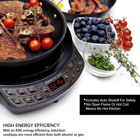 Portable Induction Cooktop With Shatter Proof Ceramic Glass Surface cooking steak, vegetables, and herbs on top view