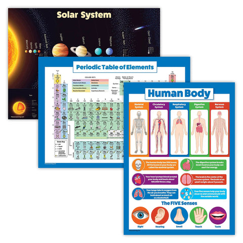Three Laminated Learning Posters Set Solar System Periodic Table For Kids And Human Body Chart 18 By 24 Inches 3 Mil Tear Resistant