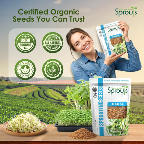 Alfalfa Sprouting Seeds Non GMO Organic For Quick No Fuss Easy Homegrown Sprouts Premium Resealable 16oz Bag with woman holding bag