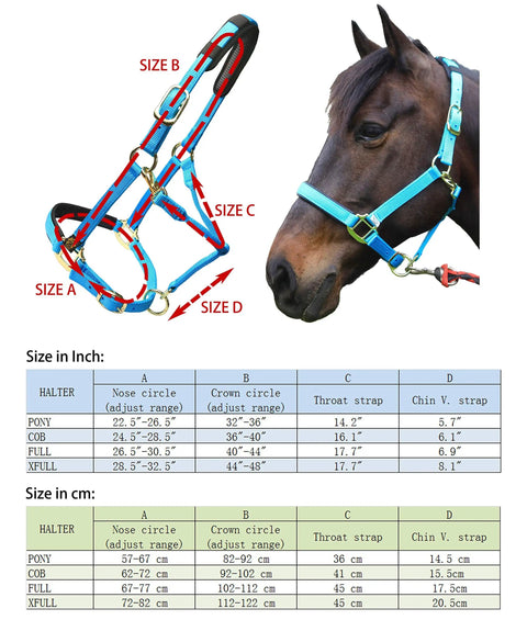 Diagram of Heavy Duty Adjustable Horse Halter With Soft Nylon And Waffle Neoprene Cushions On Crown And Nose Built Tough Detachable