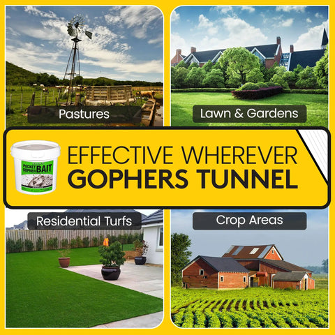 Pocket Gopher Bait Ready To Use Wheat Grains For Real World Rodent Control At Home And On Farms Yard Lawns Turf And Crops Diphacinone Formula For Lawns Turf And Gardens 5 Pounds shown with images of pastures, residential turfs, lawn & gardens, and crop areas.