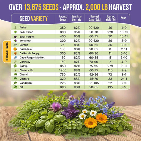 Grab And Grow All In One Medicinal Tea Herb And Flower Seeds Variety Pack display with seed chart on wooden table