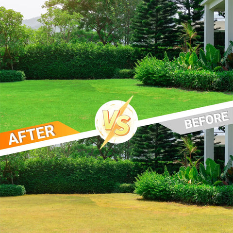 Before and after lawn comparison using Preassembled Lawn Aerator Shoes With Metal Reinforced Base Plate And Anti Slip Straps.
