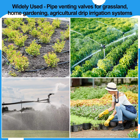 Threlaco 2-pack 3/4-inch air release valve for irrigation drip systems; male threaded air bleed valve shown with drip lines and sprinklers