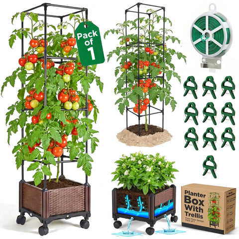 Self Watering Tomato Planter With Trellis 64 Inch Raised Garden Bed For  Climbing Veggies Indoors Or Outdoors Patio Box For Tomatoes Cucumbers Beans  