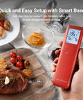 Smart Bluetooth Wireless Meat Thermometer With Standalone Display Base No App Required in kitchen use