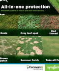 Image showing lawn diseases like rusts, gray leaf spot, red thread with Caravan G Insecticide Fungicide for Lawn and Turf Care.