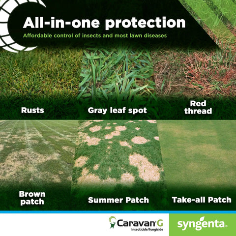 Image showing lawn diseases like rusts, gray leaf spot, red thread with Caravan G Insecticide Fungicide for Lawn and Turf Care.