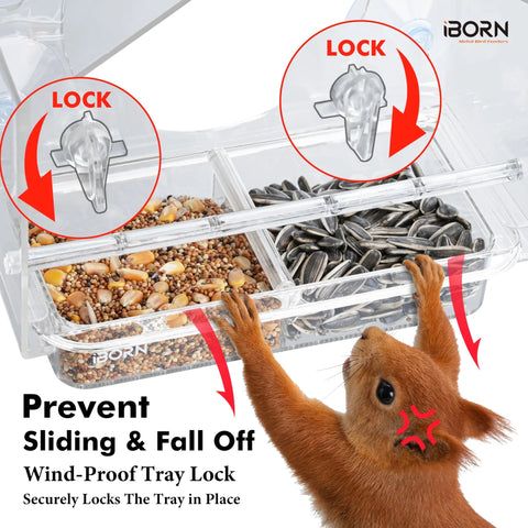 Close-up of 2026 Window Bird Feeder With Windproof Tray Lock showing lock mechanism and interior seed compartments with squirrel paw.