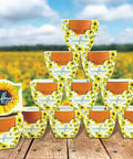 All In One Sunflower Mini Terracotta Pot Grow Kit 12 Pack For Indoor And Outdoor Gardens Seed Starter on wooden table