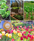 Collage of gardens with vegetables and flowers, showcasing use of 150 Pieces One Quarter Inch Drip Irrigation End Cap Plugs Barbed Tubing Fittings Kit.