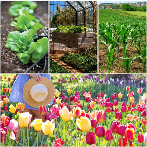 Collage of gardens with vegetables and flowers, showcasing use of 150 Pieces One Quarter Inch Drip Irrigation End Cap Plugs Barbed Tubing Fittings Kit.