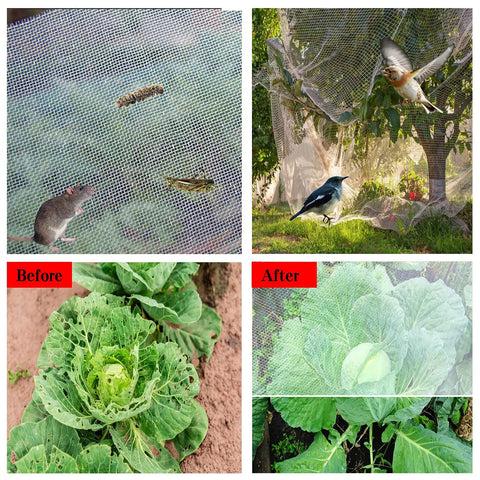 8x24ft Garden Netting Pest Barrier With 0.8mm Ultra Fine Mesh Plant Cover For Vegetables Fruits And Flowers shown protecting garden from pests.