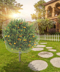 Fruit tree covered with 2 Pack Garden Insect Barrier Netting With Drawstring 4.9 By 3.2 Feet Plant Cover To Keep Pests Birds And Bugs Off
