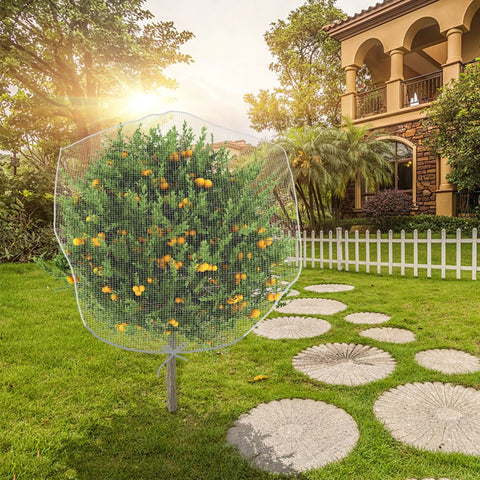 Fruit tree covered with 2 Pack Garden Insect Barrier Netting With Drawstring 4.9 By 3.2 Feet Plant Cover To Keep Pests Birds And Bugs Off