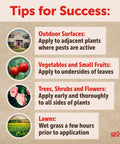 Guide for RTS Insect Killer Hose End Sprayer 32 Ounce; tips on applying to outdoor surfaces, vegetables, and lawns.