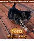 Cat walking on richly stained wood deck, showcasing Hands Down The Best Deep Timber Oil And Wood Stain For Exterior Decks Fences And Cabin Siding In Western Cedar Shuts Out Moisture And Sun Damage While Gliding On Straight With Zero Drips Or Runs.
