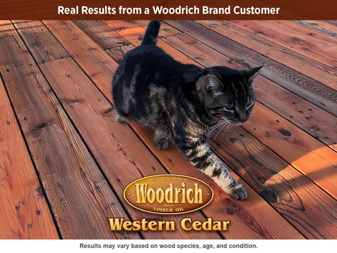 Cat walking on richly stained wood deck, showcasing Hands Down The Best Deep Timber Oil And Wood Stain For Exterior Decks Fences And Cabin Siding In Western Cedar Shuts Out Moisture And Sun Damage While Gliding On Straight With Zero Drips Or Runs.