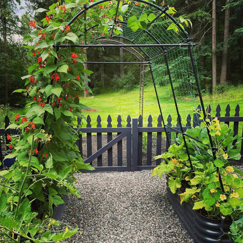 Sturdy 7 Foot Extra Tall Garden Arch Trellis For Climbing Plants Outdoor Use With Polyethylene Coated Stainless Steel Frame