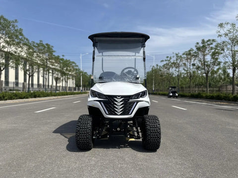 Two Seater Electric Golf Cart With 48V Lithium Battery And Heavy Duty Plastic Bed Powered By A Badass 4Kw Motor for smooth street maneuvering.