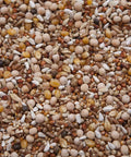 Close-up of Show Pigeon Mix With Safflower Seed For Performers And Show Pigeons, 14 Percent Protein, 8 lb Bag