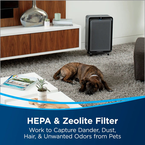Room with dog, Air Purifier Replacement Pet Pro Filter Pack For Air 220 Model, Pet Hair Dander Odor Filtration unit nearby.