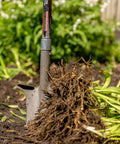 Compact Perennial Garden Shovel With Serrated Blade For Precise Digging And Root Cutting Fiberglass Handle Pro Grade Heavy Duty Steel Spade Red Ideal For Transplanting Perennials Dividing Roots And Working In Tight Garden Spaces shown in soil with roots