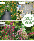 Sturdy Metal Garden Arch Trellis For Climbing Plants Outdoor Yard And Garden With Decorative Wire Lattice Black Finish creating floral entryways in various settings.