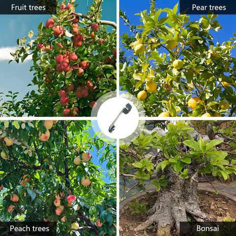 Collage of fruit trees and bonsai with a central image of Fruit Tree Limb Spreader Set Of 20 7 Inch Branch Puller With Plastic Hose Wrapped Iron Wire Durable Open Angle Tool For Safe Branch Spreading In Garden Orchard Workhorse Yard Must Have.