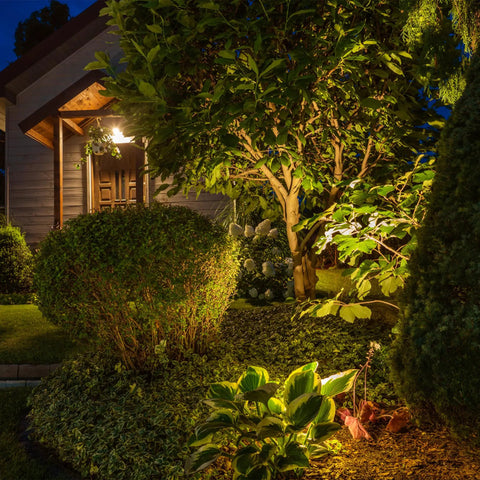 Garden illuminated by 12 Pack Solid Brass Landscape Spotlight Kit 12V AC DC Low Voltage Outdoor Uplight With ABS Ground Spike