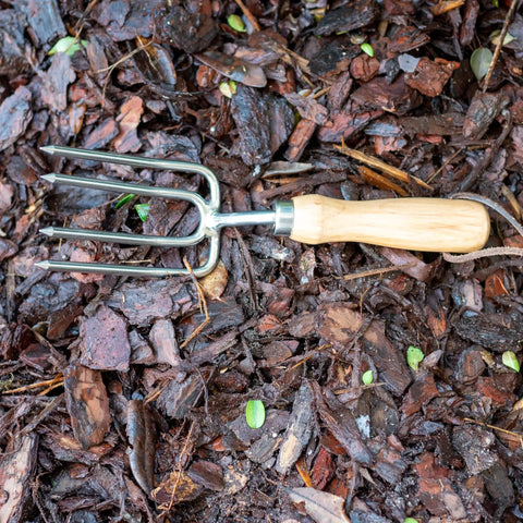 Handy Round Tine Garden Fork for Weeding and Planting, Stainless Steel Tines, Clear Handle, Made in USA, Heirloom Collection tool on soil