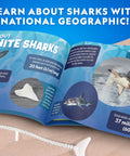 Learning guide for Glow In The Dark Great White Shark Anatomy Kit With 12 Bones And Organs, Safe Synthetic Dissection Lab For STEM Education