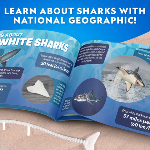 Learning guide for Glow In The Dark Great White Shark Anatomy Kit With 12 Bones And Organs, Safe Synthetic Dissection Lab For STEM Education