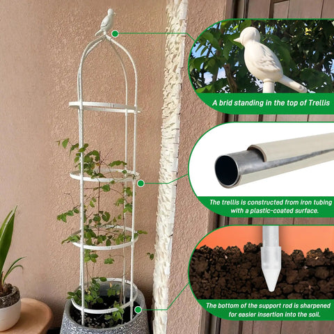 Heavy Duty 6 Ft Garden Trellis For Climbing Plants Built To Last From Rustproof Metal Pipe In White With Weather Resistant Finish