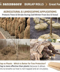 Image of agricultural and landscaping applications using 40 Inch By 300 Ft Burlap Fabric Roll Pack Of 10 Industrial Grade Burlap 10 Oz Thick 30 Percent Thicker Than Competition for tree protection.