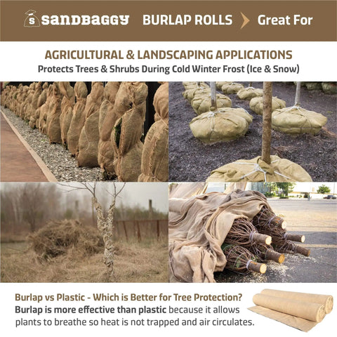 Image of agricultural and landscaping applications using 40 Inch By 300 Ft Burlap Fabric Roll Pack Of 10 Industrial Grade Burlap 10 Oz Thick 30 Percent Thicker Than Competition for tree protection.