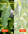 Before and after of plant with Insect And Bird Barrier Garden Netting 20 X 10 Feet Easy Cut Plant Cover shielding from pests