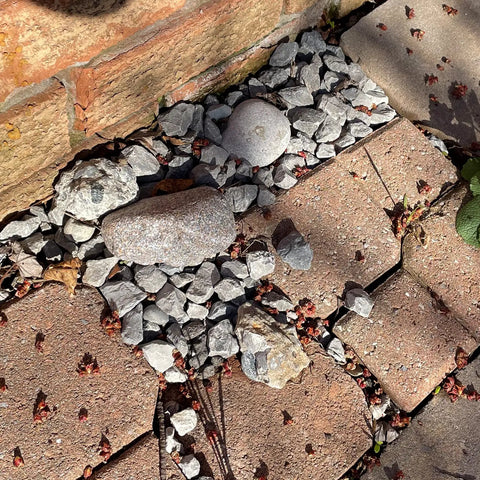 Stash A Spare Key In This Fake Rock That Looks Like Real Stone For Outdoor Gardens And Yards Geocaching Safe Key Hider Type C 1 Pack on gravel