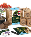 Bonsai Tree Kit For Beginners Grow Your Own Mini Bonsai With Four Varieties Seed Starter Kit Includes Potting Soil Jute Bags Pruning Shears Plant Markers And Easy Step By Step Guides