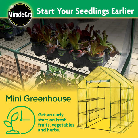 Patio Friendly Outdoor Mini Walk In Greenhouse Tent All Season Plant Growth Booster For Small Gardens With Eight Wire Shelves Clear Front Panels Easy Setup Compact Four Foot Eight Inch By Four Foot Eight Inch By Six Foot Five Inch