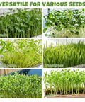 Various microgreens growing in 2 Pack Stainless Steel Seed Sprouter Trays, 2 Tier Sprouting Kit With 10.6 Inch Base Trays And Mesh Pads, Rust Free