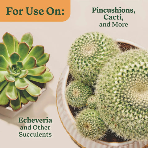 Top Shelf Indoor Potting Mix For Cactus And Succulents Featuring Sweet Roots Development With Rapid Drainage Sand Perlite And Peat Moss Formula Plus Loaded Plant Food For Ace Houseplants In 8 Quart Packs, Echeveria and cacti in decorative pots.