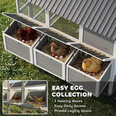 Huge 77 Inch Outdoor Chicken Coop for 6 to 8 Chickens with run, showing 3 nesting boxes and hens inside. Gray wooden poultry cage.