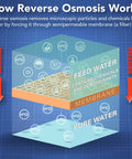 Diagram illustrating how reverse osmosis works with feed water, membrane, and pure water flow for Four Stage Quick Connect Reverse Osmosis Water Filtration System White Compact Design With Easy Install Faucet Mounting Hardware Storage Tank And Color Coded Tubing For Crystal Clear Tap Water.