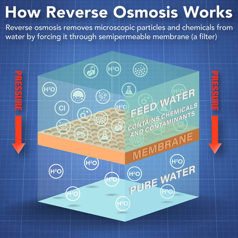 Diagram illustrating how reverse osmosis works with feed water, membrane, and pure water flow for Four Stage Quick Connect Reverse Osmosis Water Filtration System White Compact Design With Easy Install Faucet Mounting Hardware Storage Tank And Color Coded Tubing For Crystal Clear Tap Water.