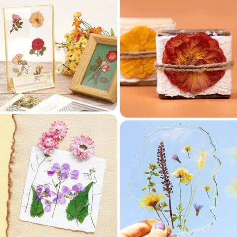 Collage of pressed flowers artwork using 11x11 Inch 10 Layer Flower Press Kit For Diy Crafts Pressed Flowers And Plant Pressing Ideal For Wedding Bouquets Spring Blooms Herbs And Leaves To Create Totally Dried Florals Keepsakes Frames And Centerpieces.