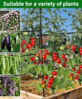 Heavy Duty Garden Arch Trellis For Climbing Plants With Adjustable Width Sturdy Metal Plant Support shown with tomatoes